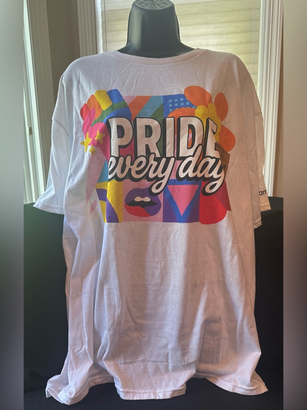 Threadfast Amazon glamazon pride everyday graphic t-shirt • 2xl • unisex • nwot